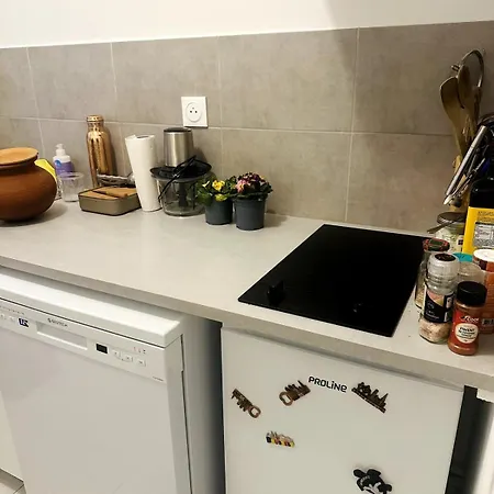 Seine-side Haven Apartment Neuilly-sur-Seine